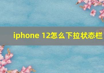 iphone 12怎么下拉状态栏